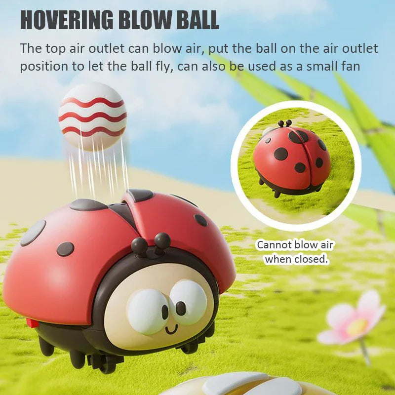 Floating Ball Ladybug Toy for Babies & Toddlers | Early Learning Educational Game