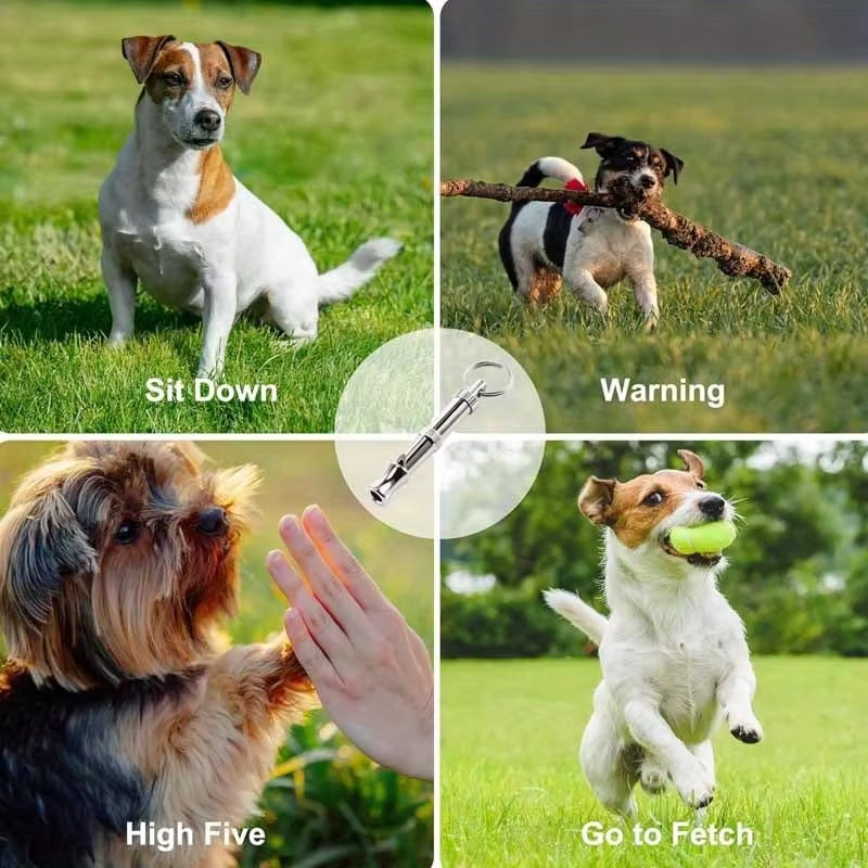 Adjustable Dog Training Whistle with Keychain | Professional Recall & Obedience Whistle for Dogs | 1 or 2 Pack