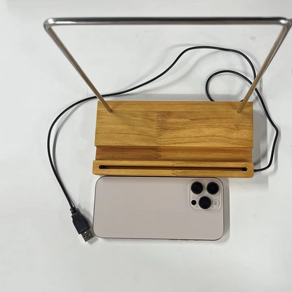 LED Vinyl Record Display Stand | Light-Up Acrylic Album Holder with Warm White Light | Modern Music Room Décor